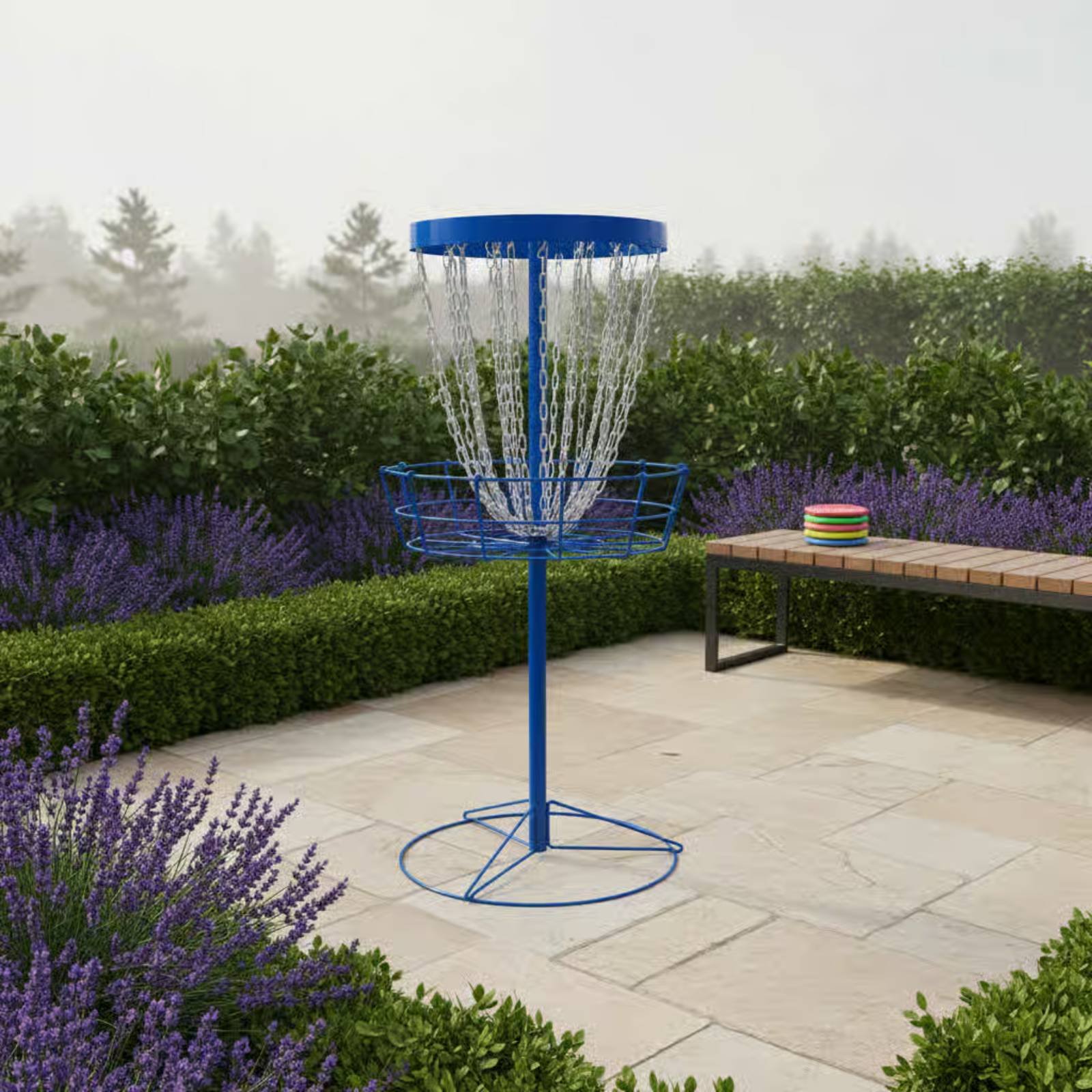 Disc Golf Training Basket Easy - Golf Equipment Usa review and price